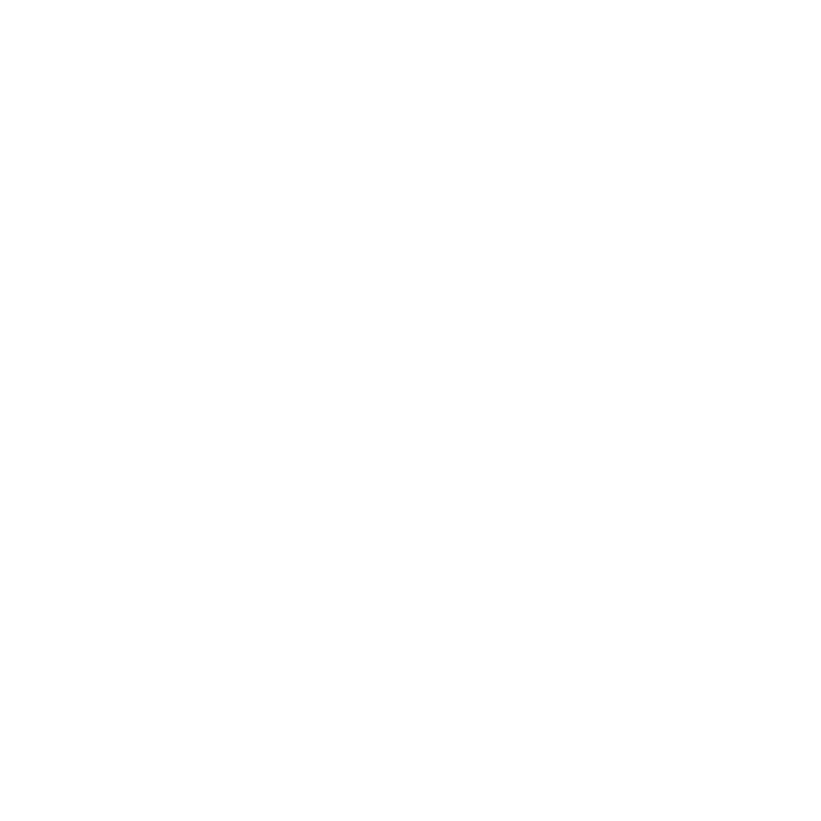 logoicon