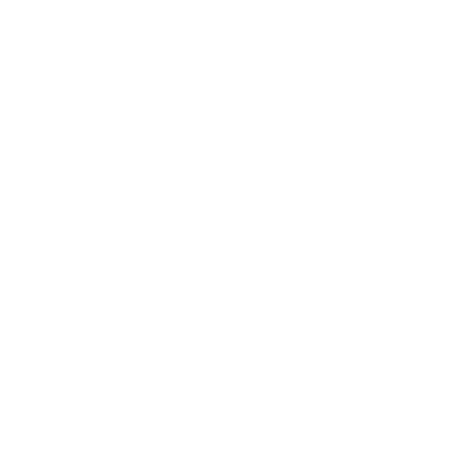 logoicon