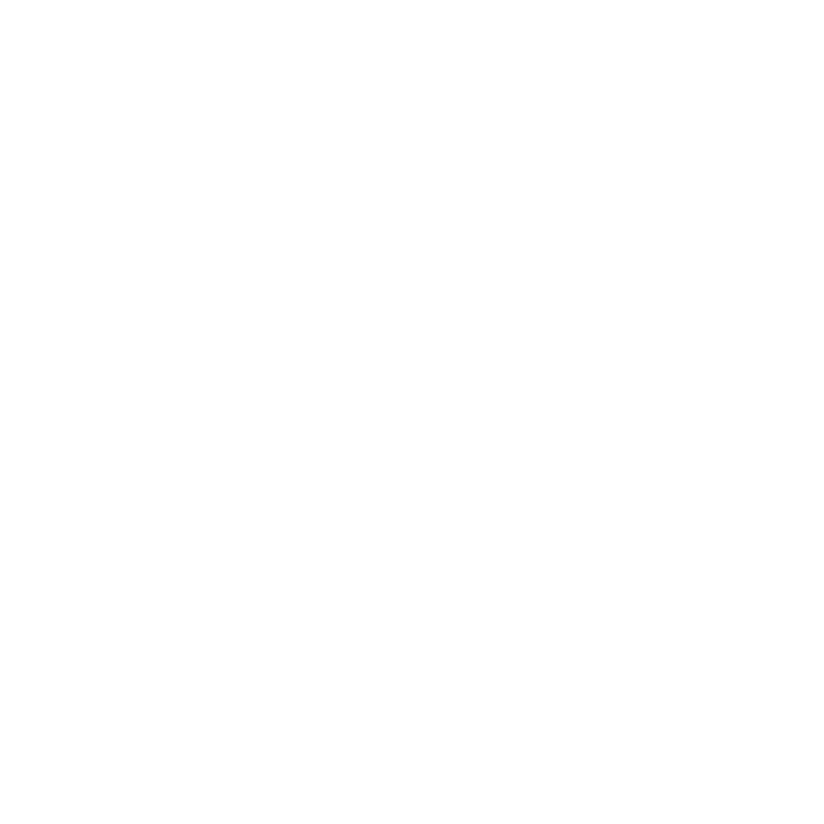 logoicon