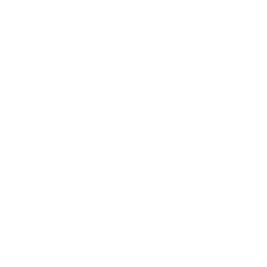 logoicon